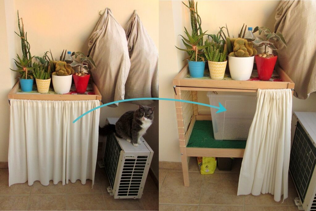 Cat Organization Ideas